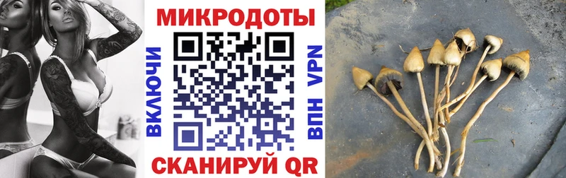 Галлюциногенные грибы MAGIC MUSHROOMS  Миллерово 